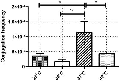 Temperature-Regulated IncX3 Plasmid Characteristics and the Role of Plasmid-Encoded H-NS in Thermoregulation